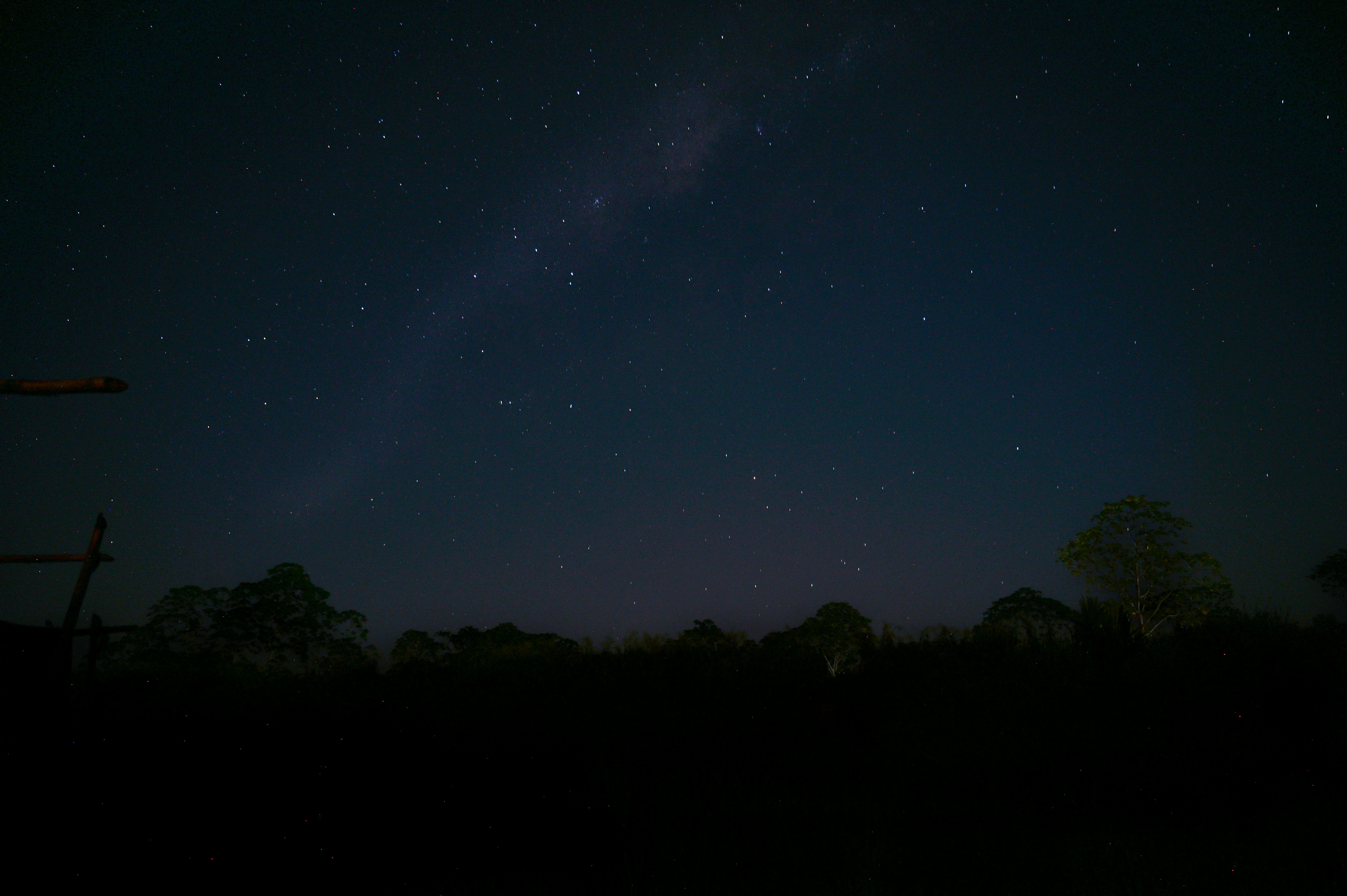 a night sky with trees