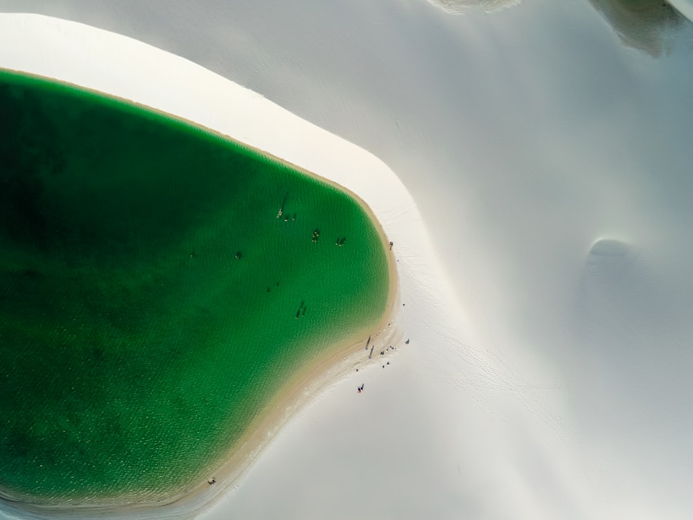 a green substance in a white container