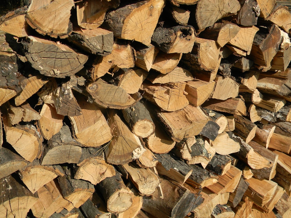 a pile of cut wood