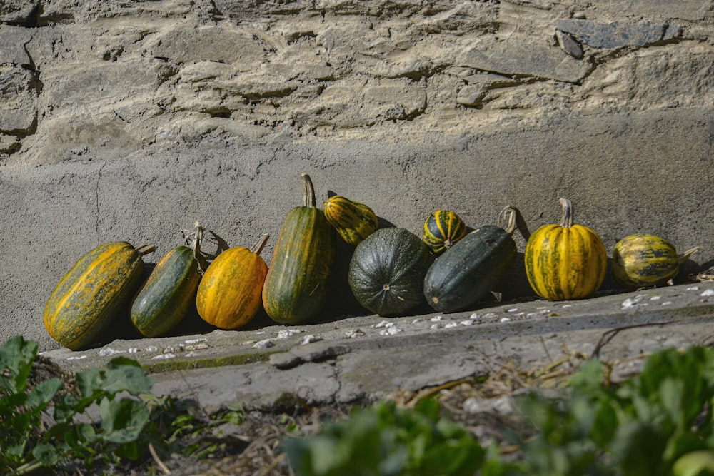 a group of squashes