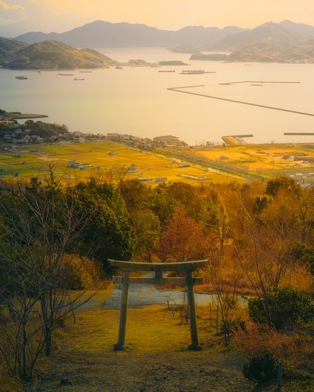 a bench overlooking a lake