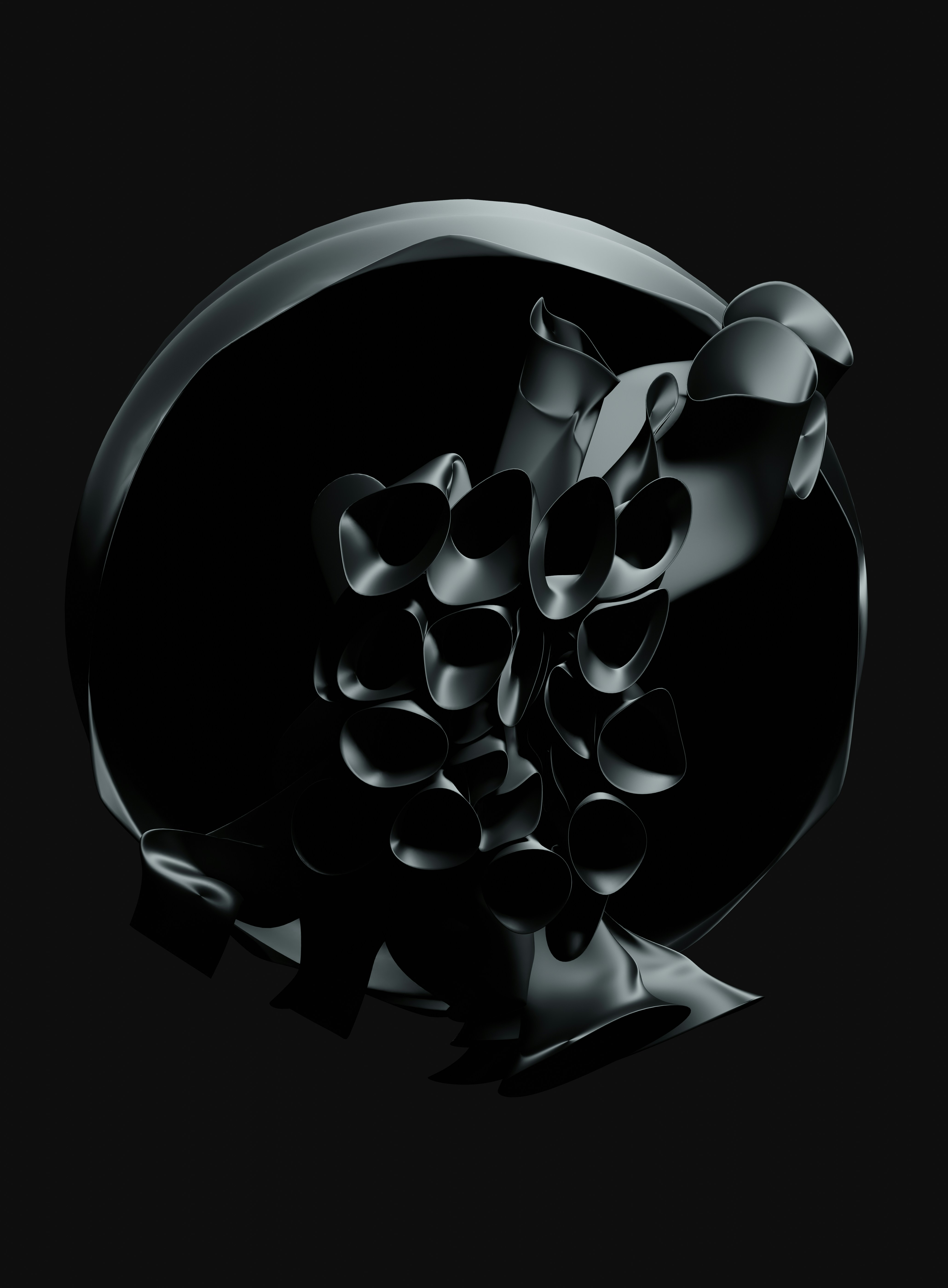 Photo by blenderdesigner