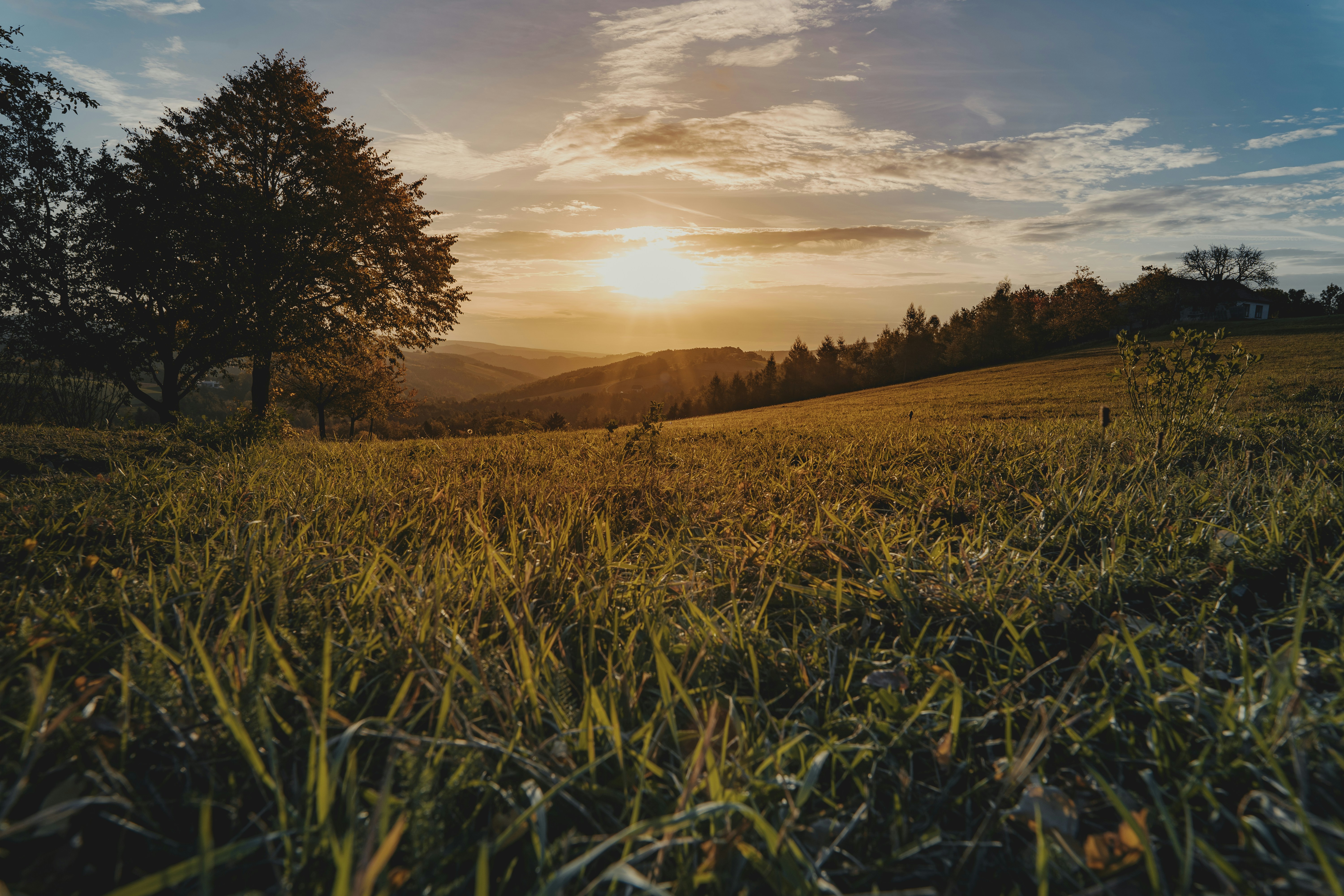 Photo by pino_rumbero