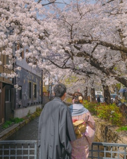 A couple dressed in traditional Japanese attire walks along a narrow path beside a small stream. Cherry blossom trees arch overhead, with branches laden with delicate white flowers. The setting suggests a peaceful, springtime atmosphere with soft light filtering through the blossoms.