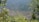 Terraced landscapes stretch across a lush mountain, framed by abundant green foliage in the foreground. The intricate patterns of the terraces highlight the contours of the hills, showcasing a blend of nature and agricultural ingenuity.