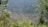 Terraced landscapes stretch across a lush mountain, framed by abundant green foliage in the foreground. The intricate patterns of the terraces highlight the contours of the hills, showcasing a blend of nature and agricultural ingenuity.