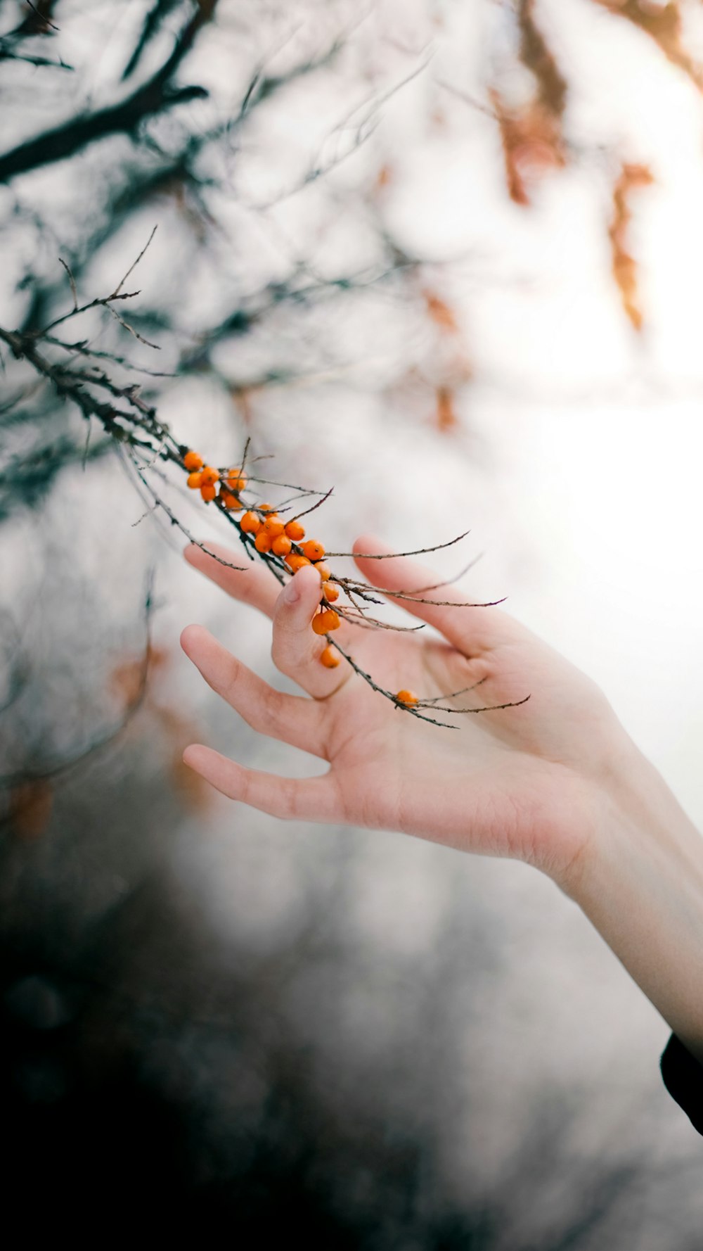 a hand holding a small orange bug