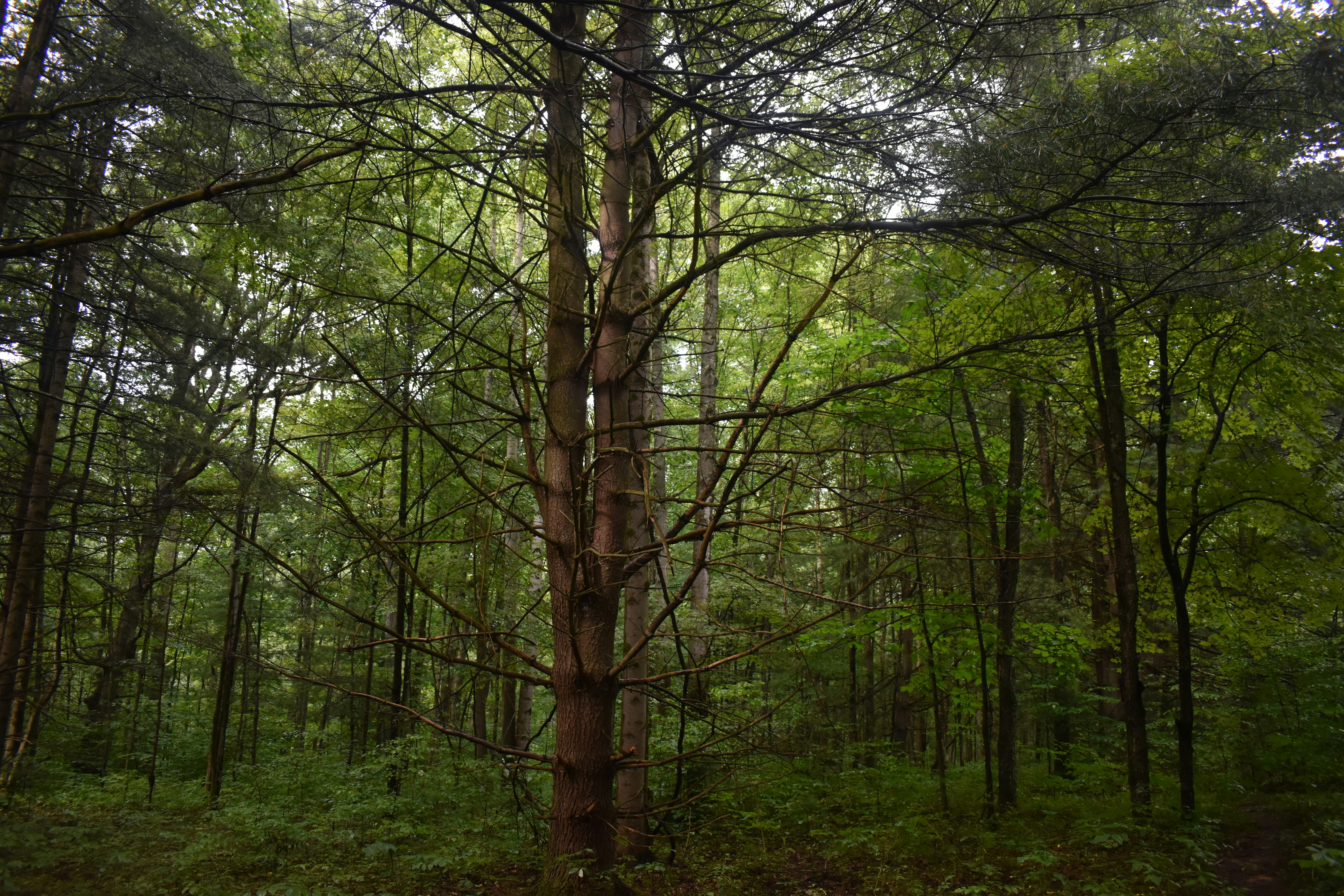 Photo by benthephotographer5