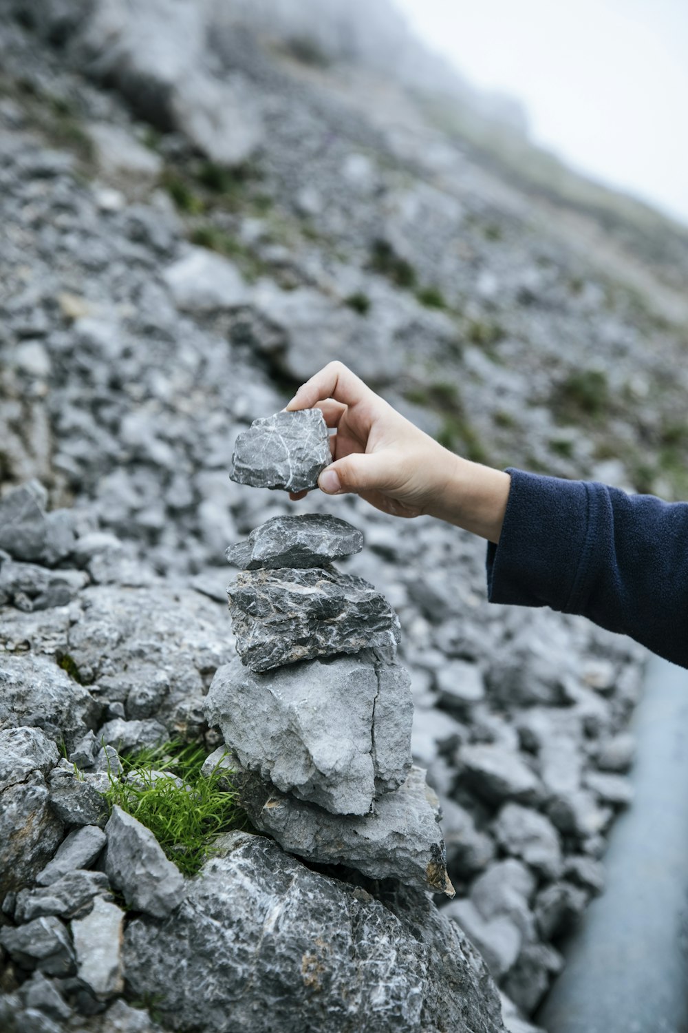 a hand holding a rock