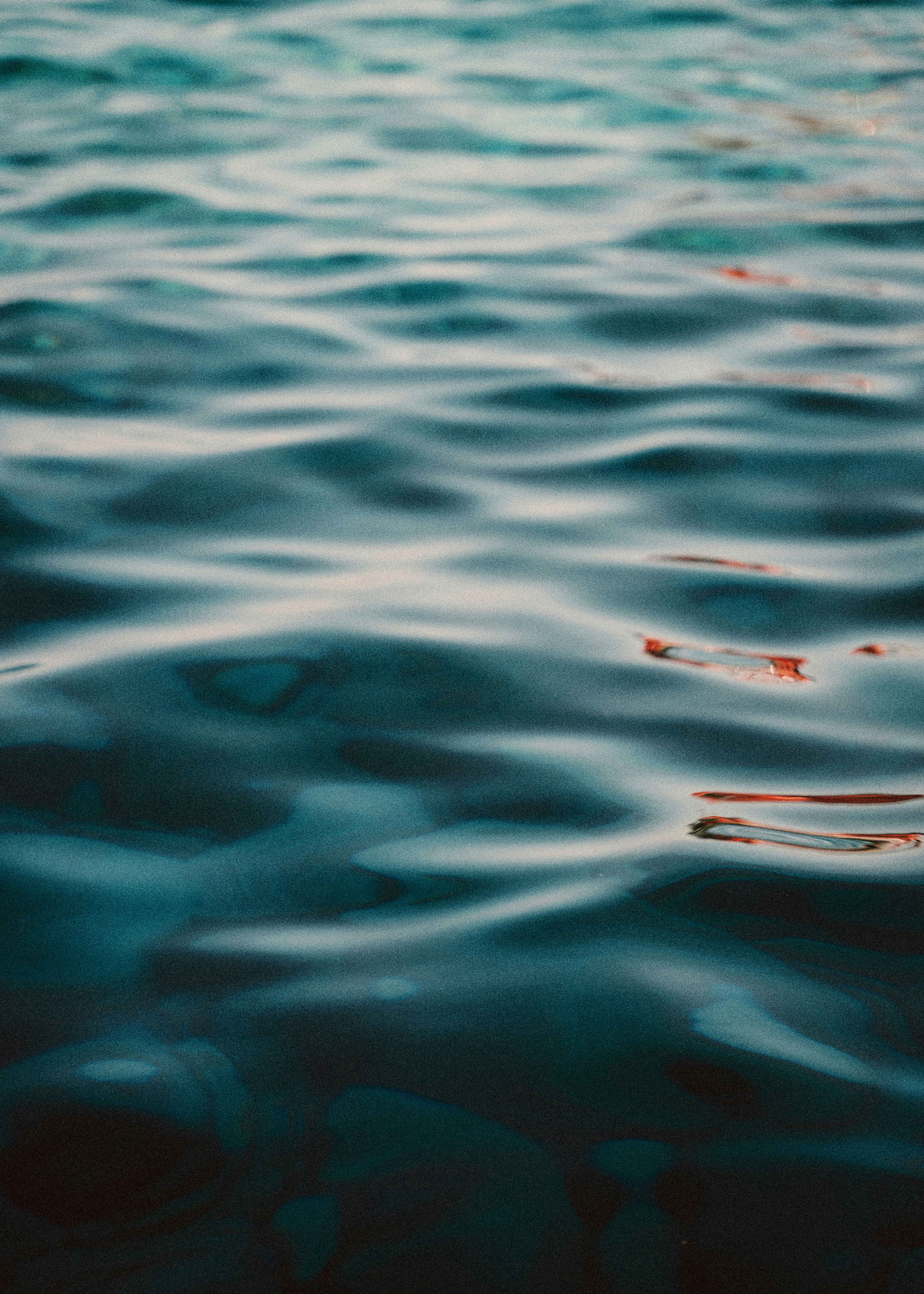 Photo by reinsgraphy