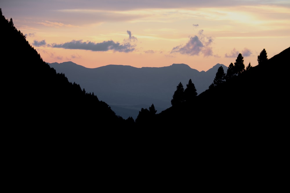 a silhouette of trees and mountains