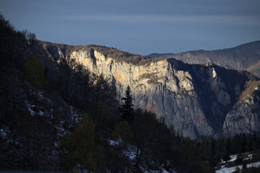 a snowy mountain with trees