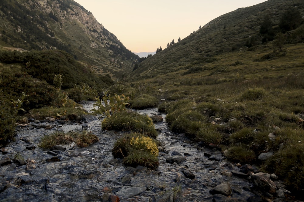 a river running through a valley