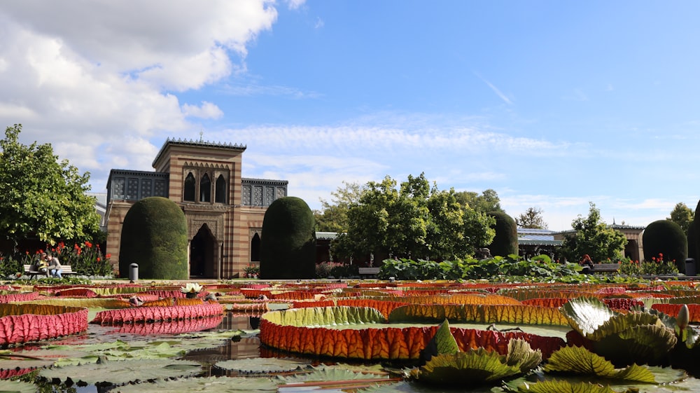 a garden with flowers and a building in the background