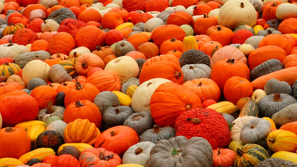 a pile of orange and yellow pumpkins