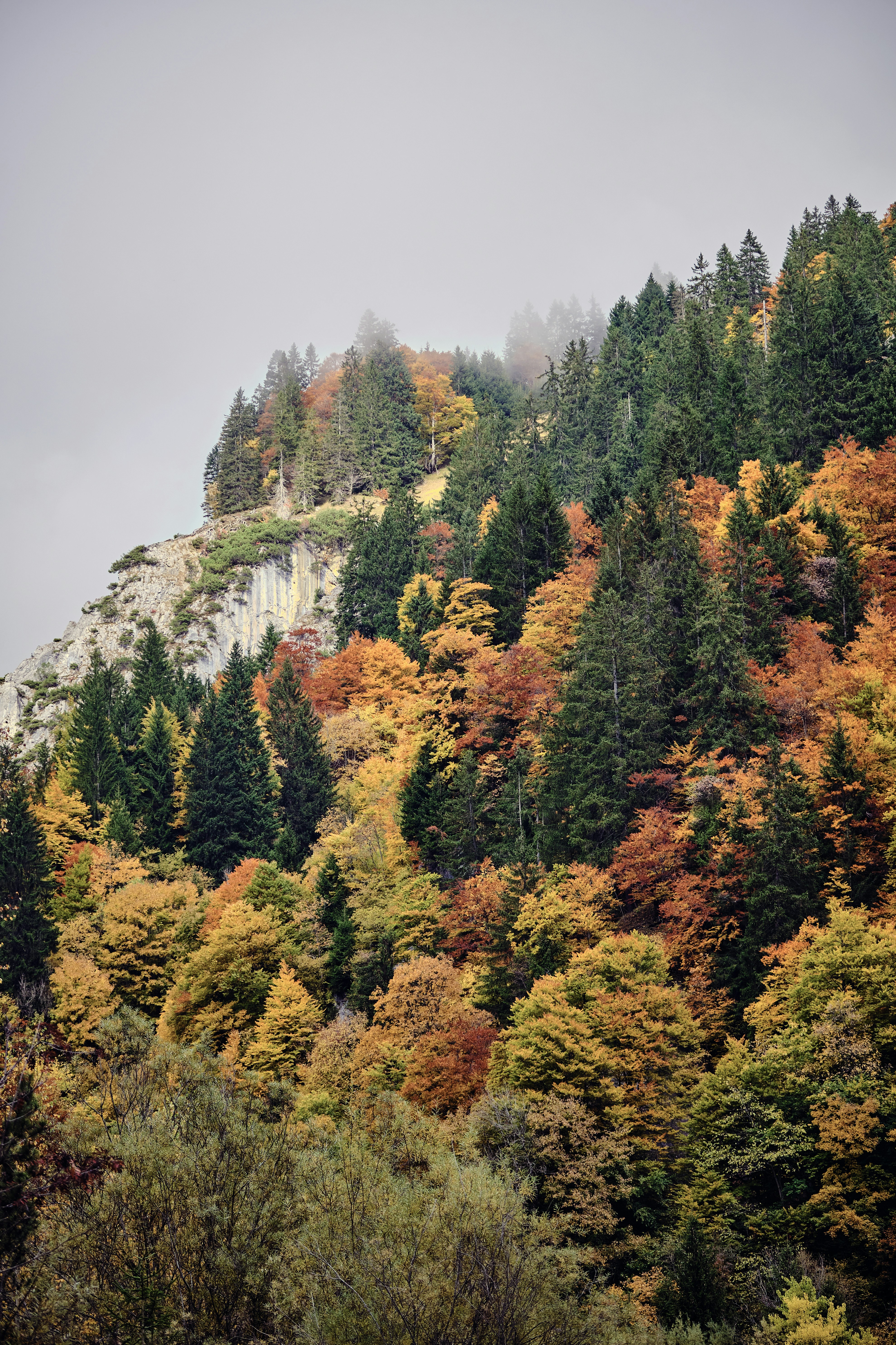 Photo by marcus_ganahl