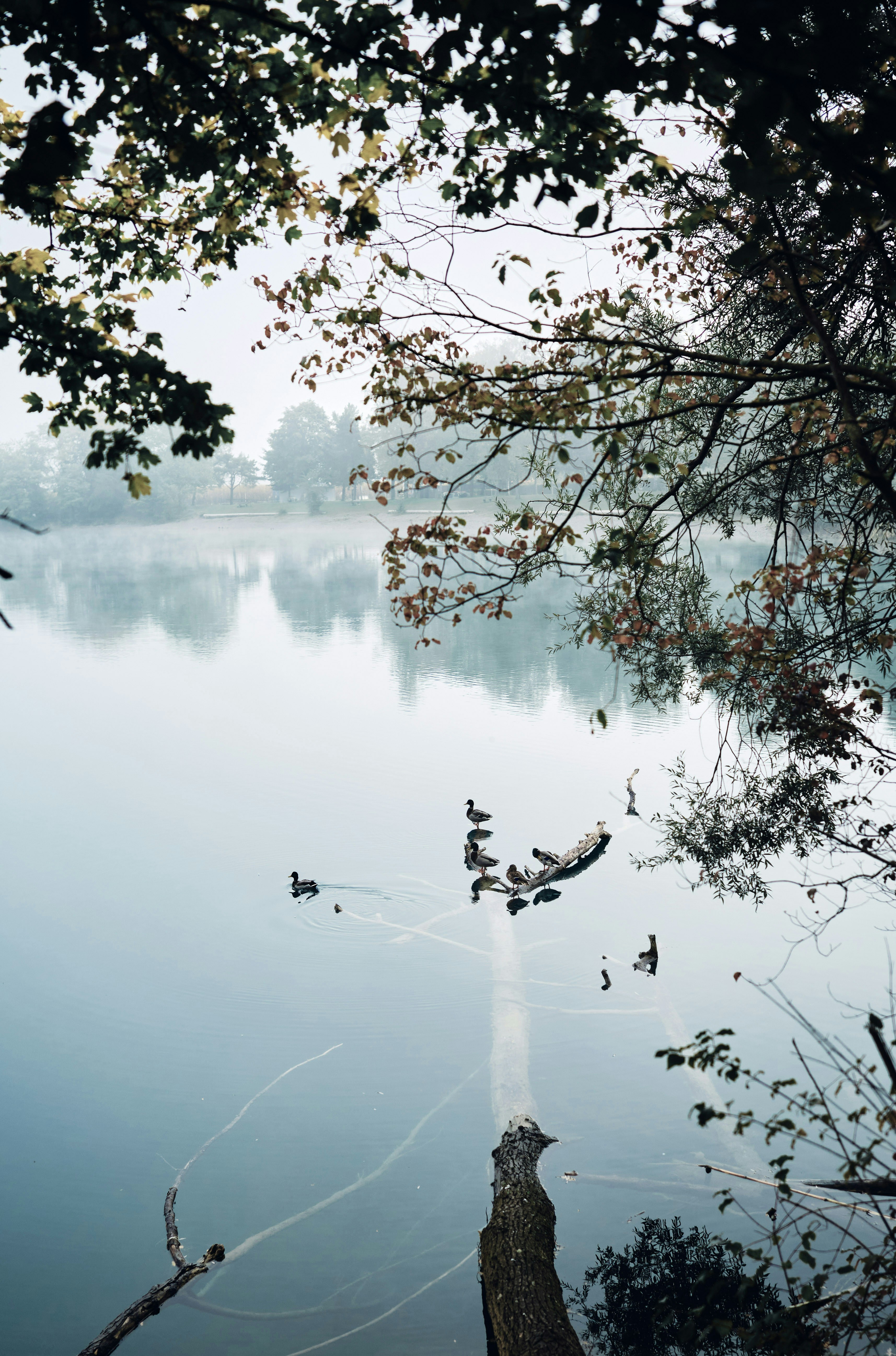 Photo by marcus_ganahl