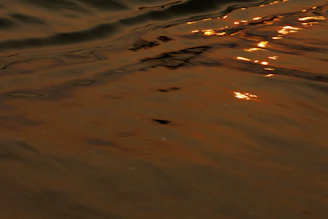 A serene and radiant image of Mãe Oxum surrounded by golden light and water elements.