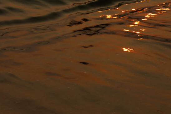 A serene and radiant image of Mãe Oxum surrounded by golden light and water elements.