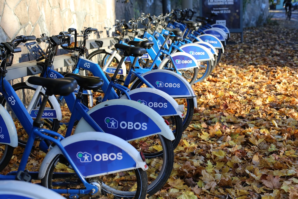 a group of bicycles parked on the sidewalk