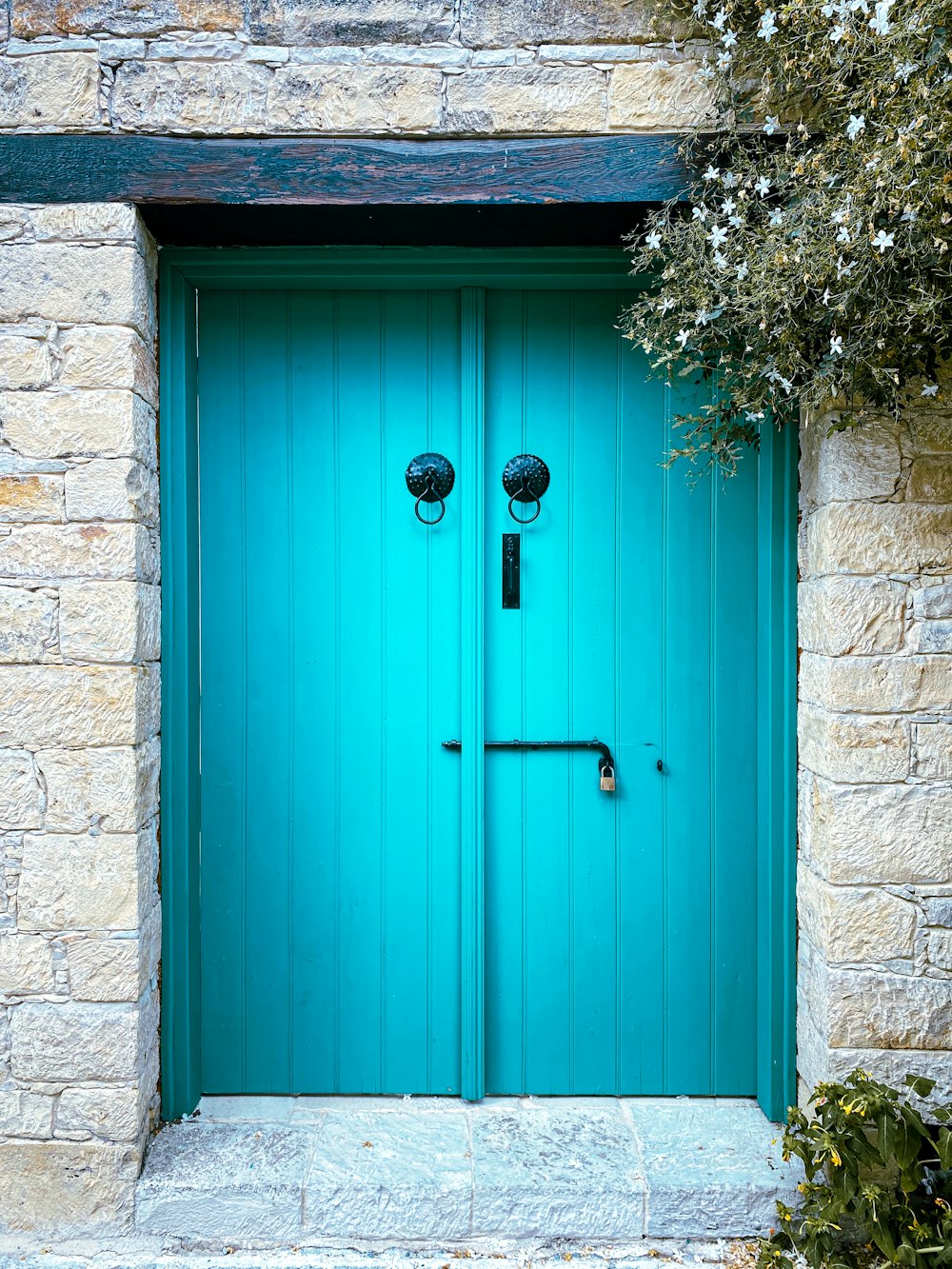 a blue door with a couple of black birds on it