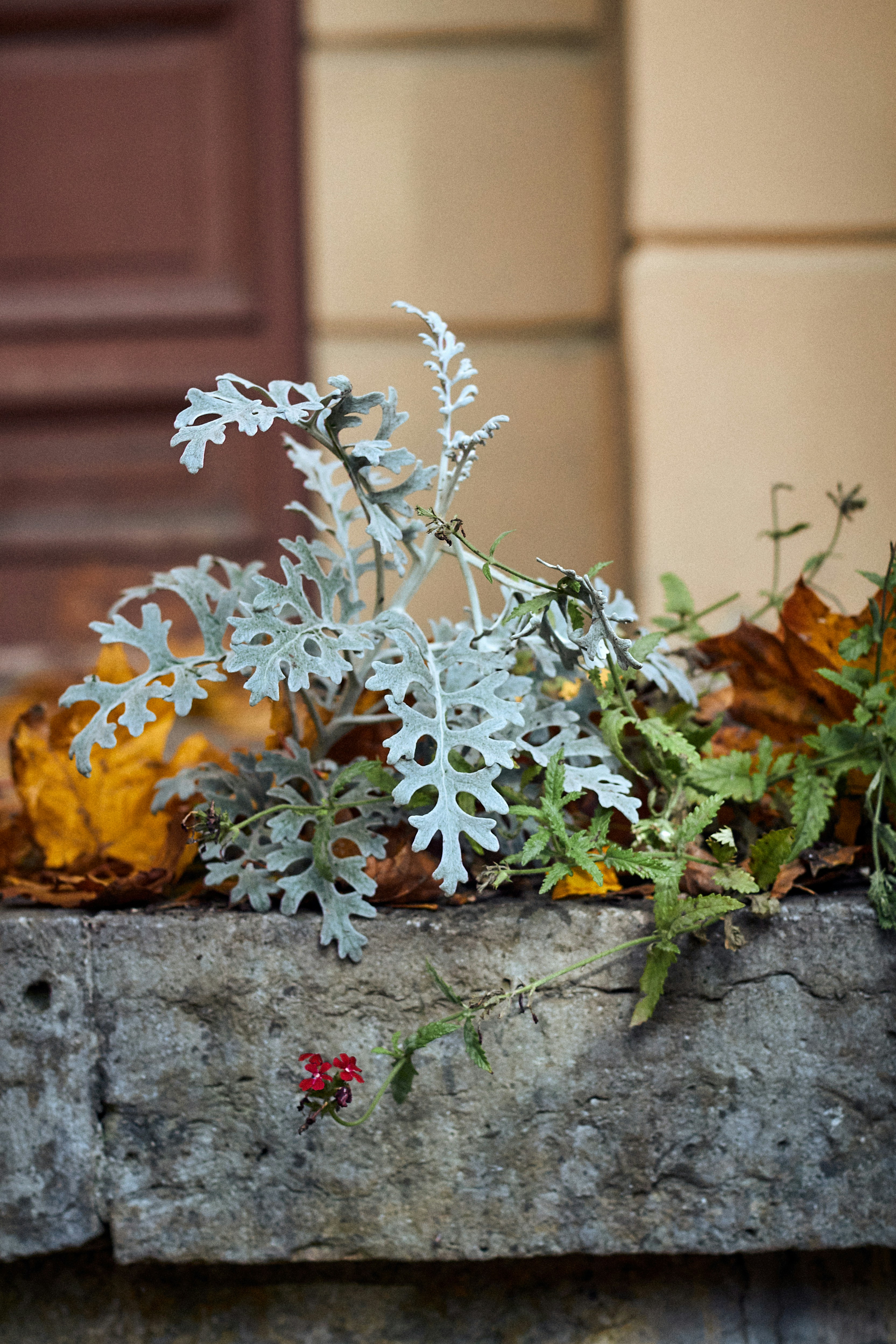 10 Metallic Winter Floral Arrangement Ideas for Homes