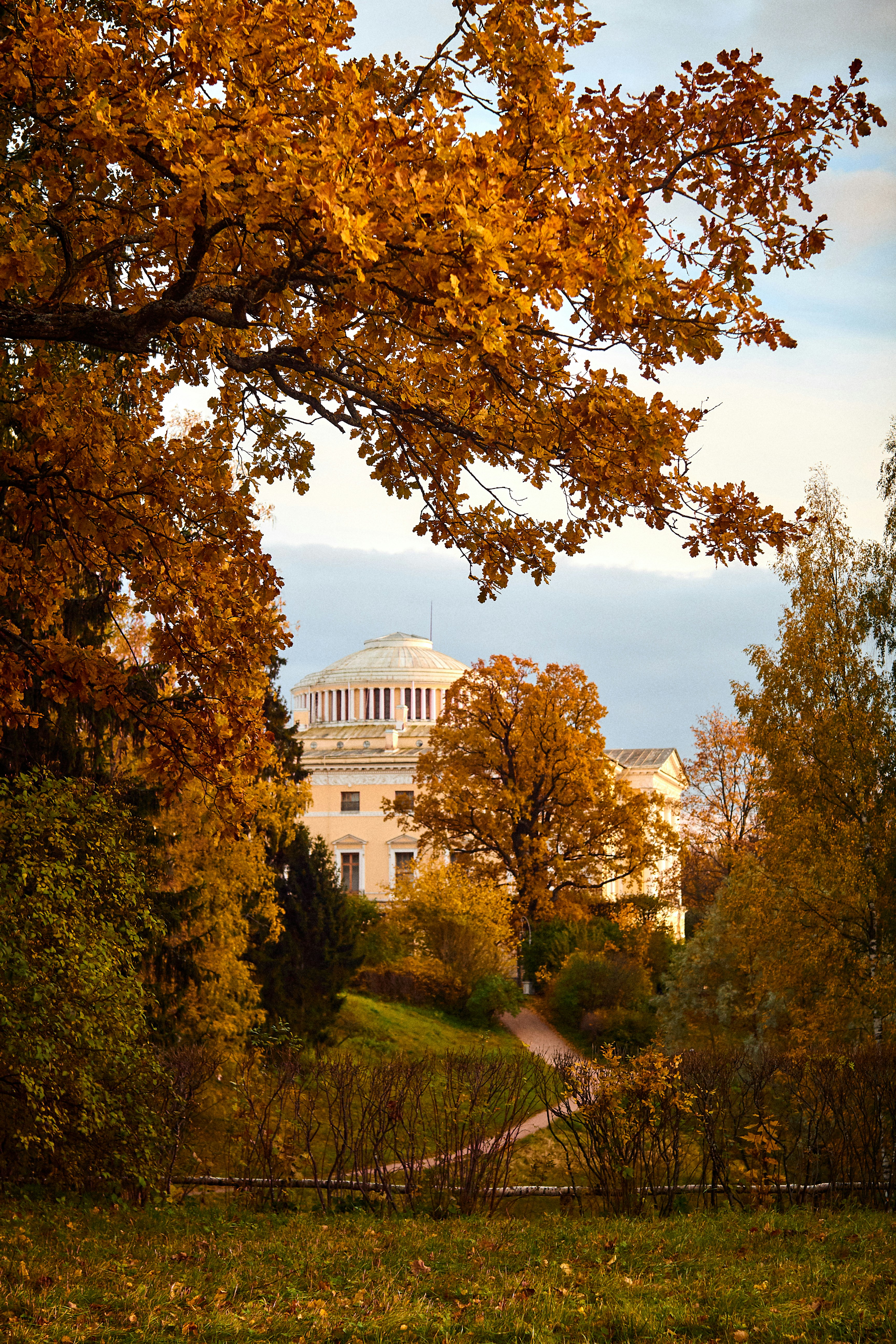 Photo by barsuklis
