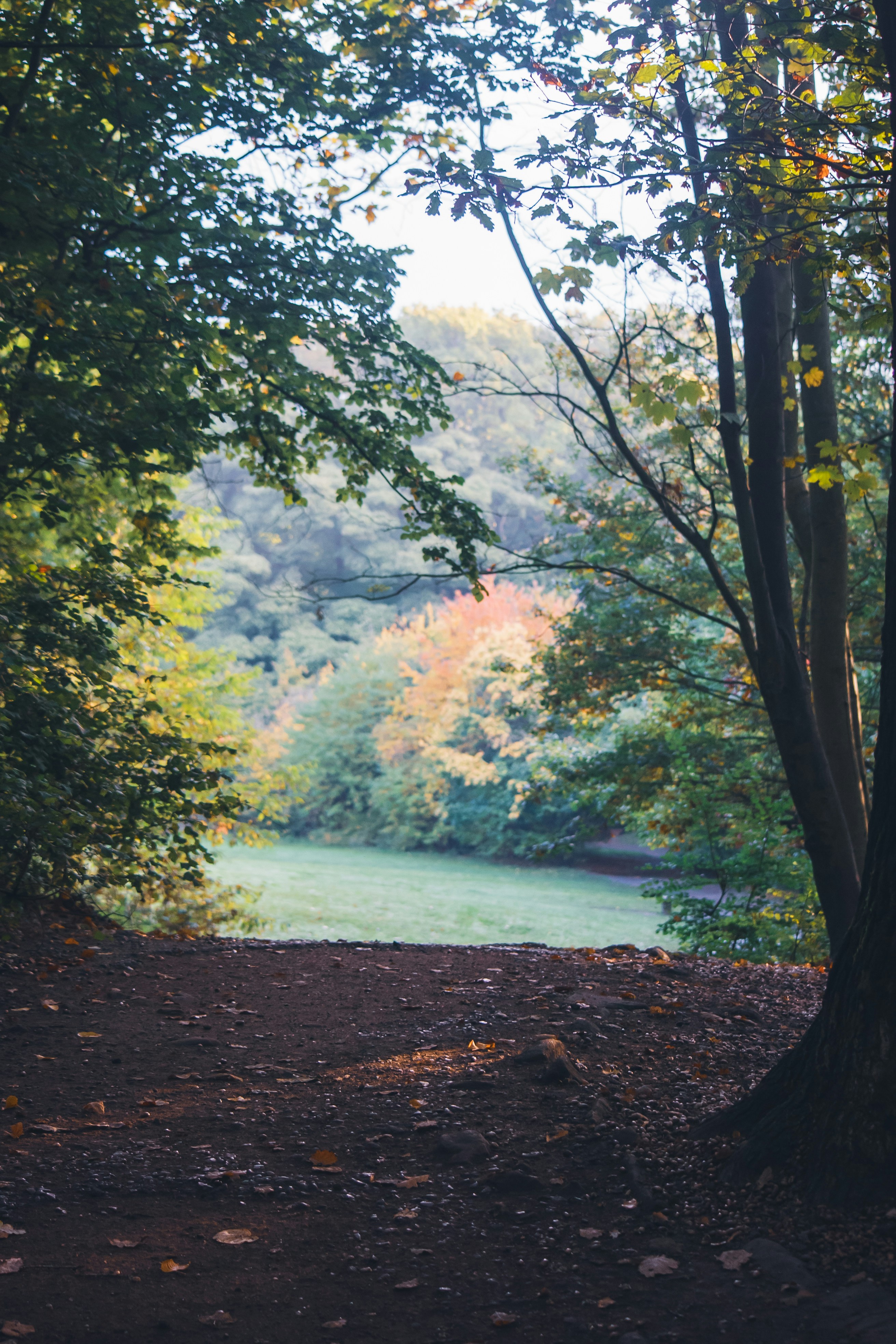 Photo by benjaminelliott