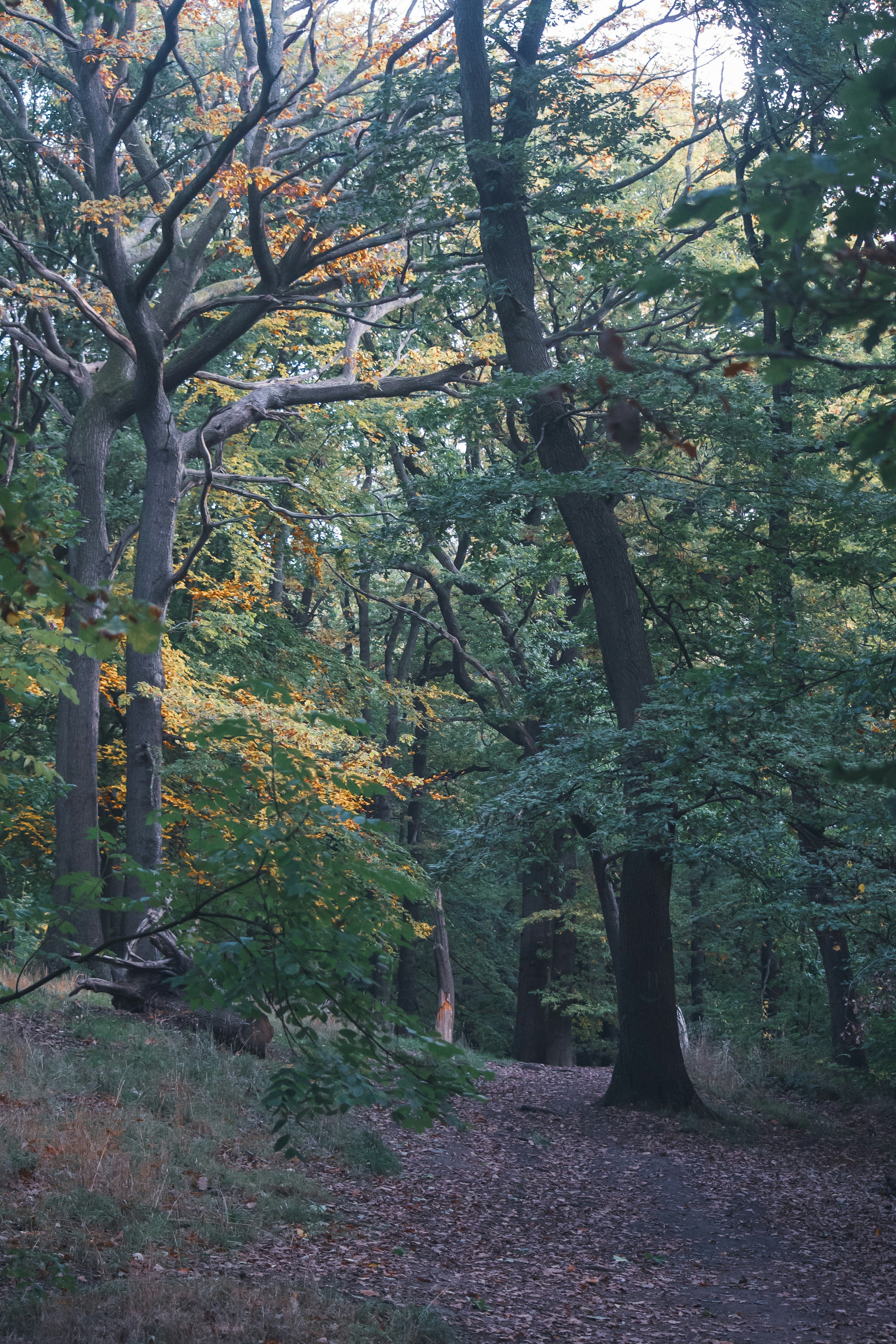 Photo by benjaminelliott