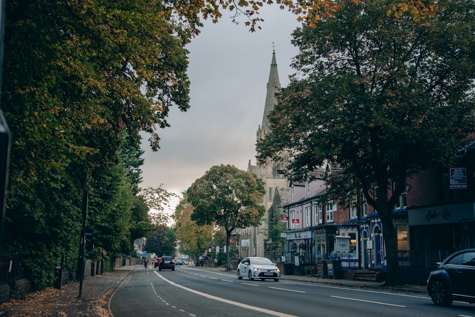 a street with cars and trees on the side