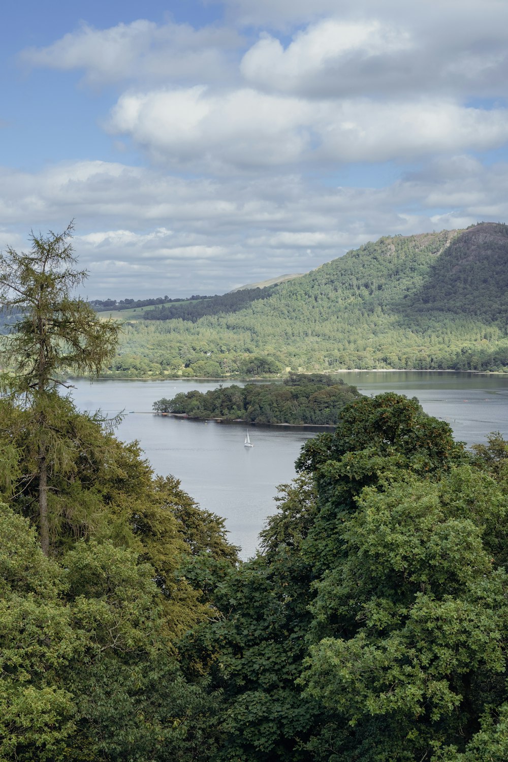 a river surrounded by trees