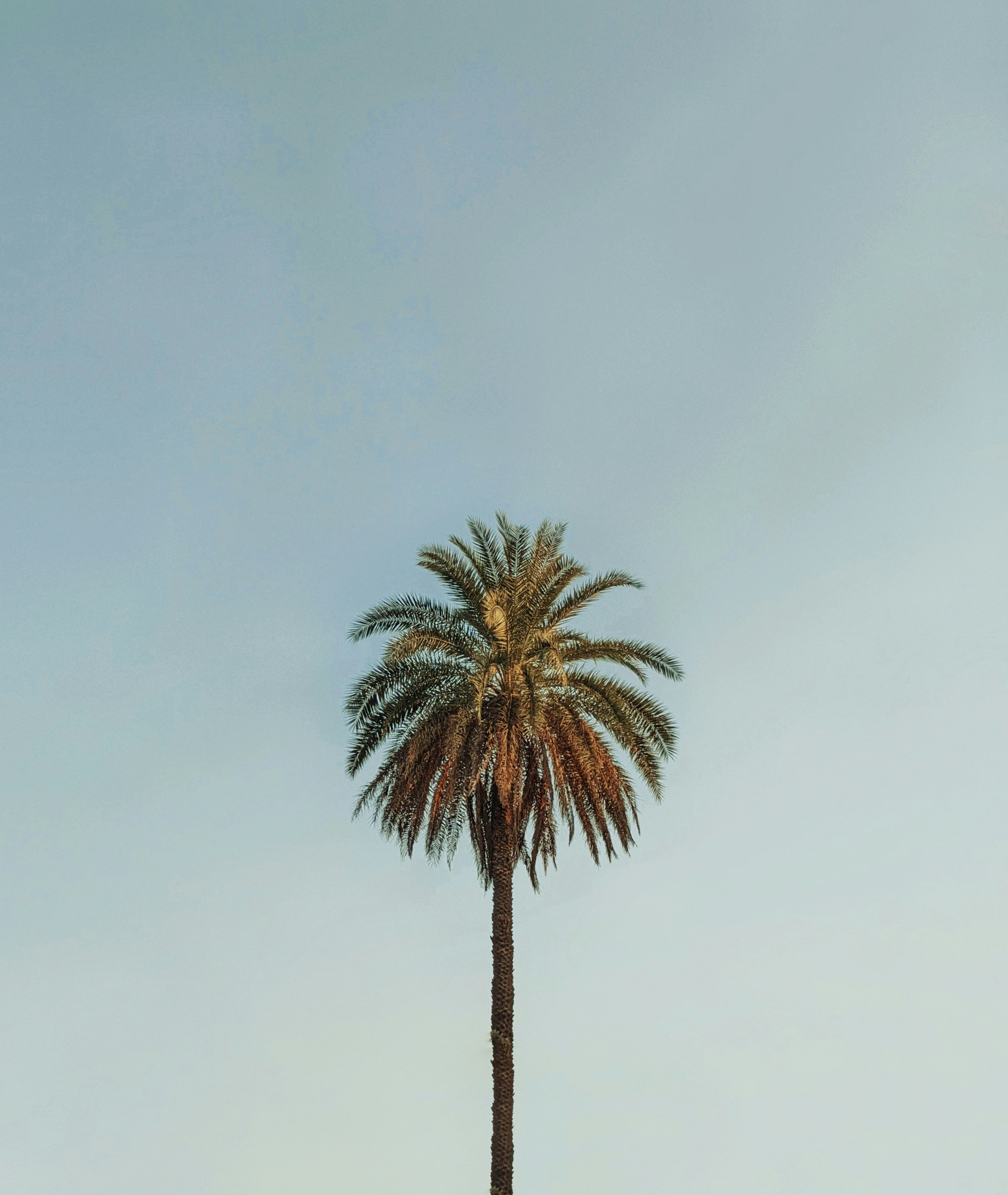 Photo by sincegameon
