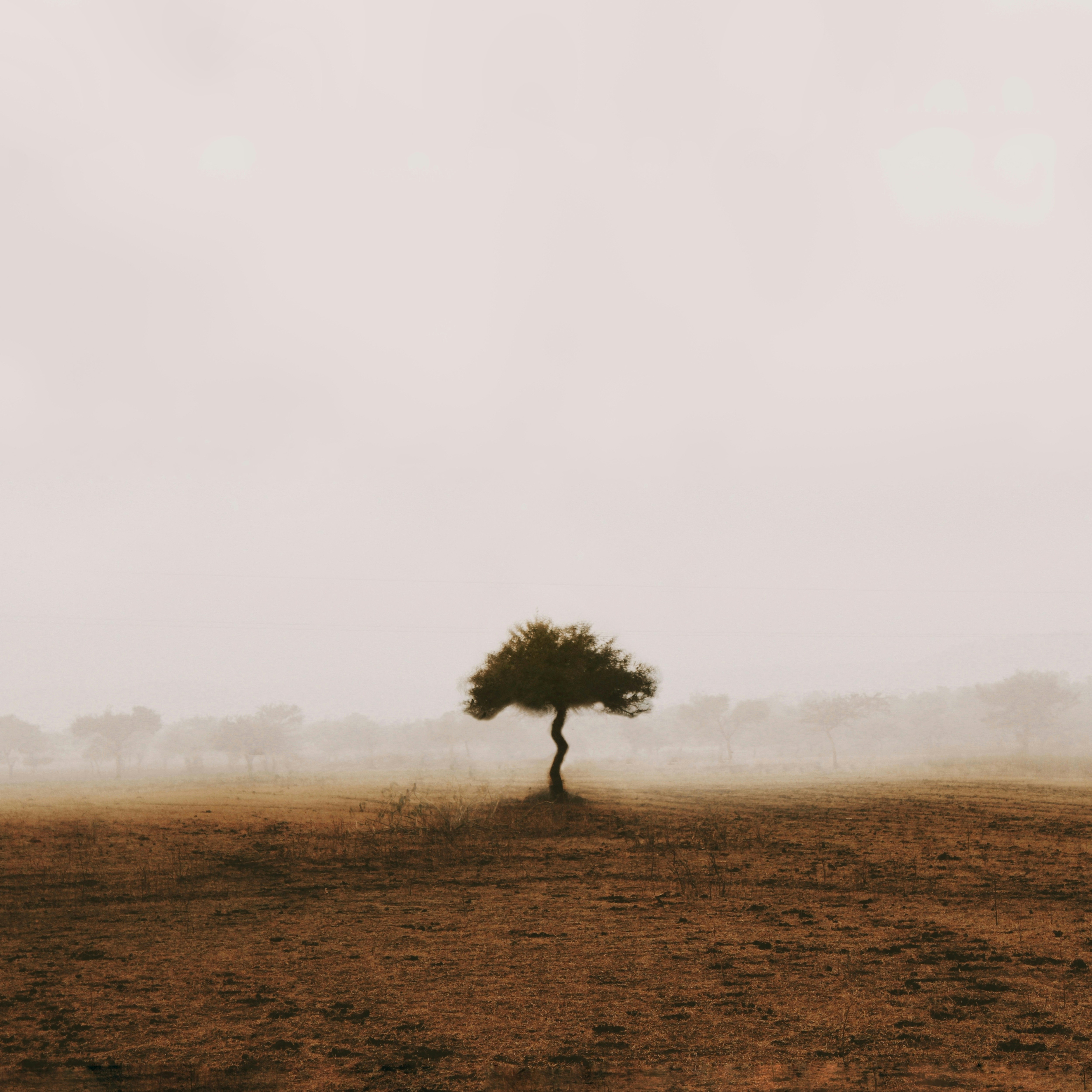 Photo by sincegameon