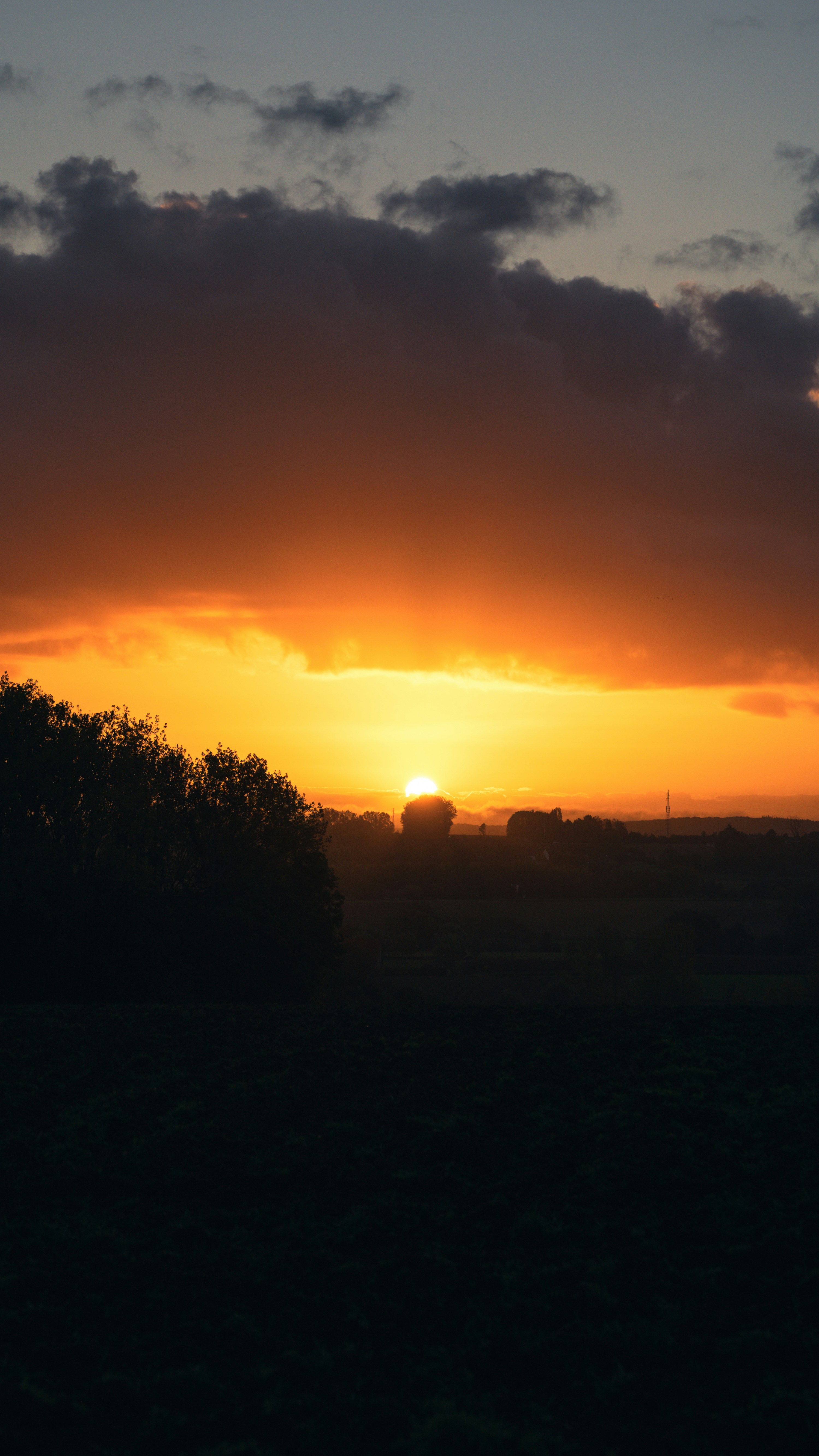 Photo by jensdedecker