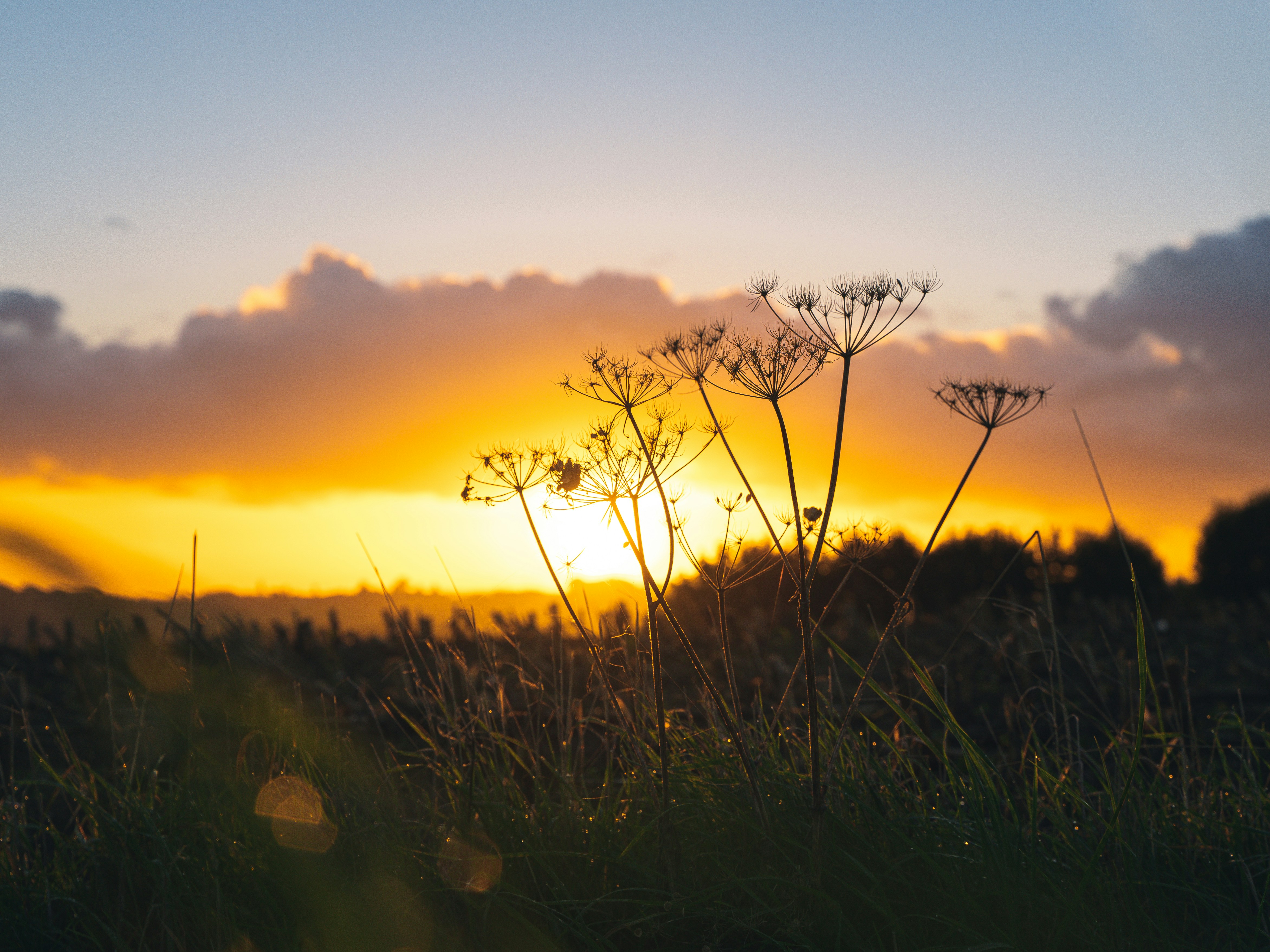 Photo by jensdedecker