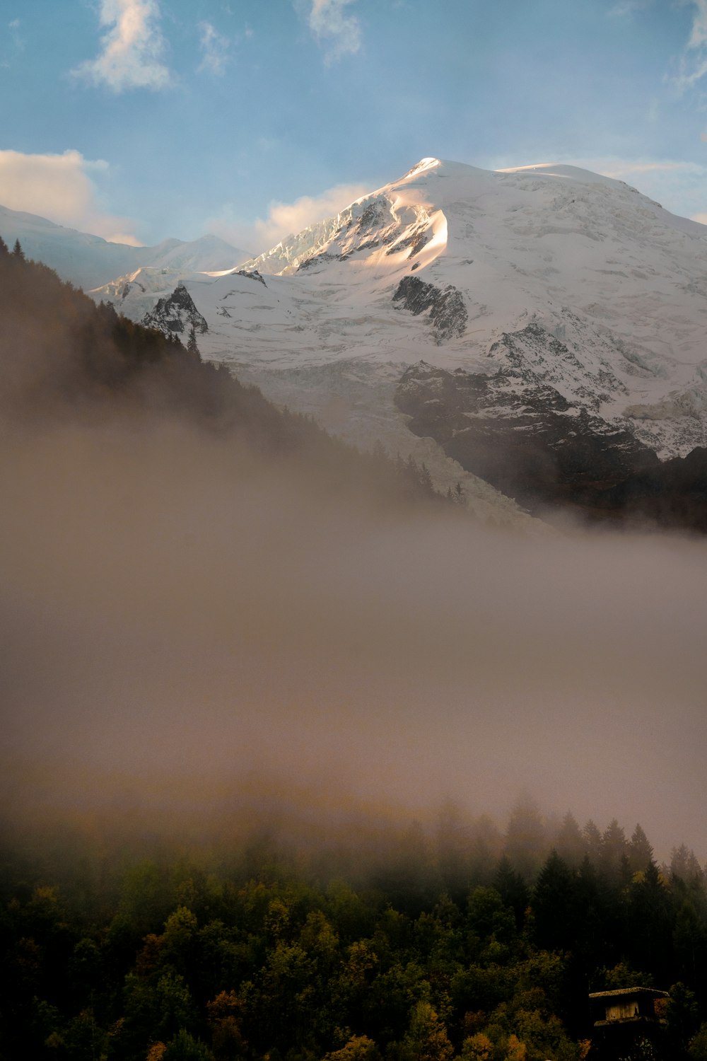 a snowy mountain with trees below