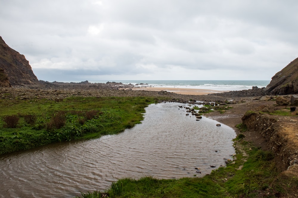 a river with a beach and grass