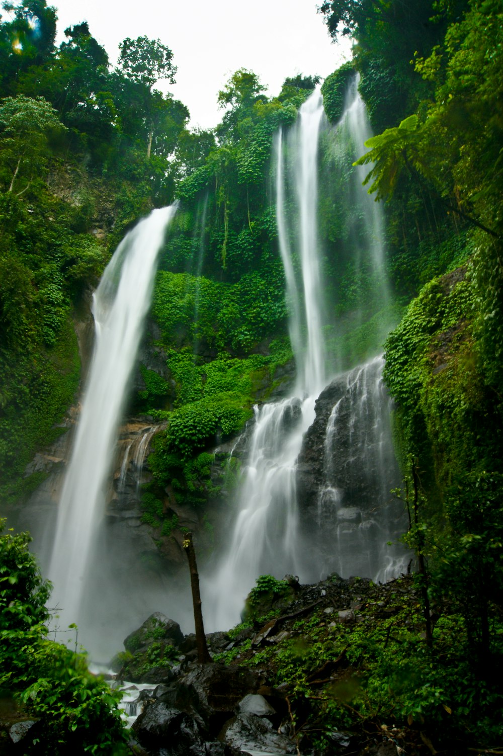 a waterfall in a forest