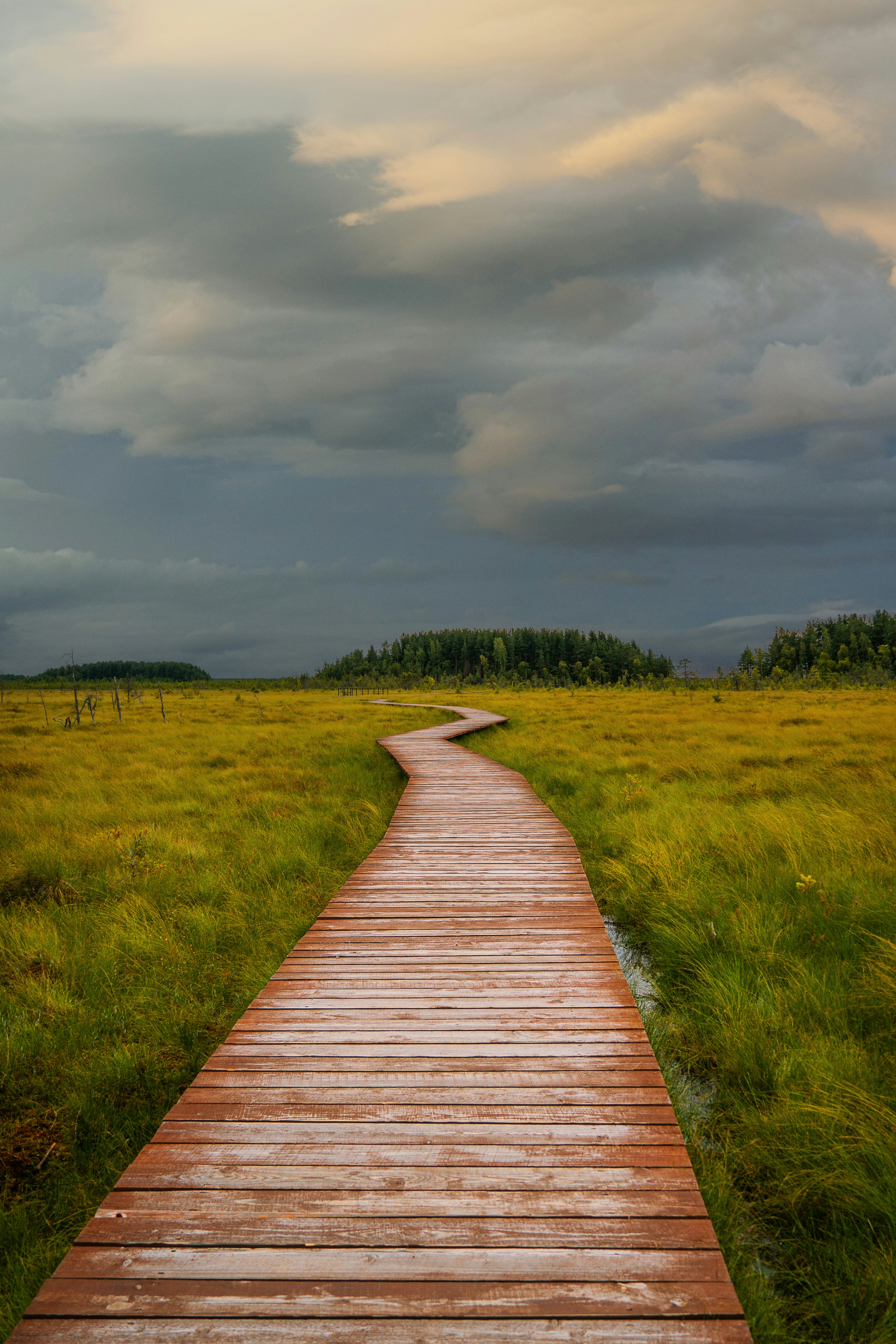 Photo by slava_arkhipenko