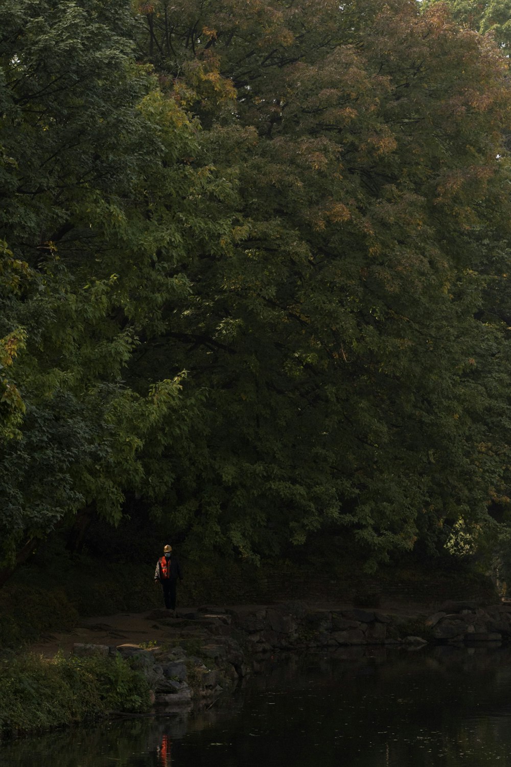 a person standing on a rock in front of a river