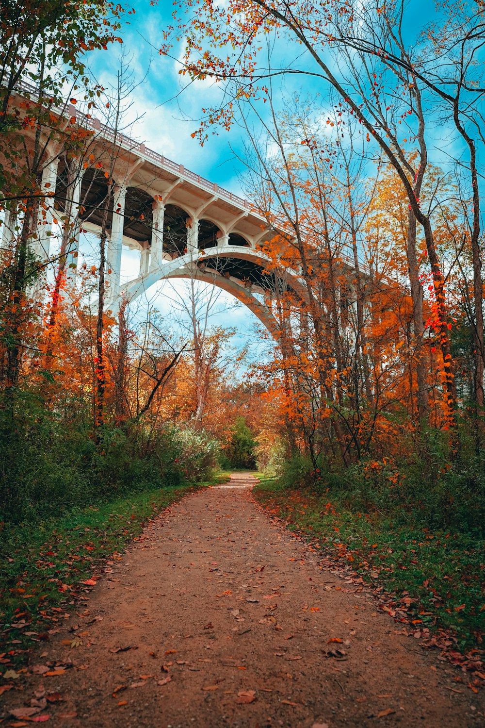 a path with a bridge over it