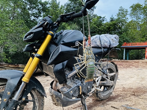 A motorcycle parked outdoors with a large lobster tied to its side. The motorcycle has a black frame with gold forks, and there is a package wrapped in plastic on the seat. The background features dense green trees and a small red and blue structure.
