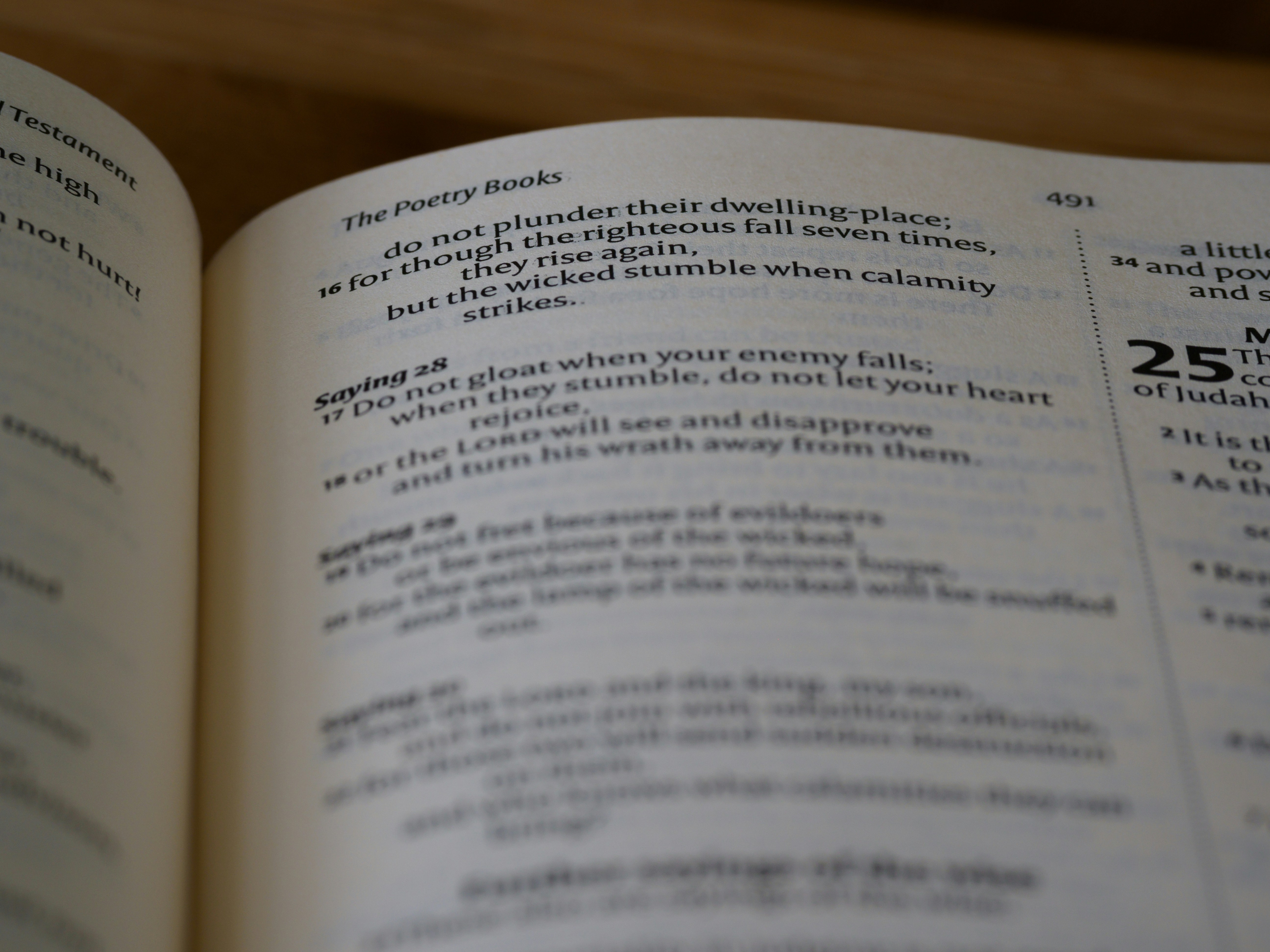 Photo by brett_jordan