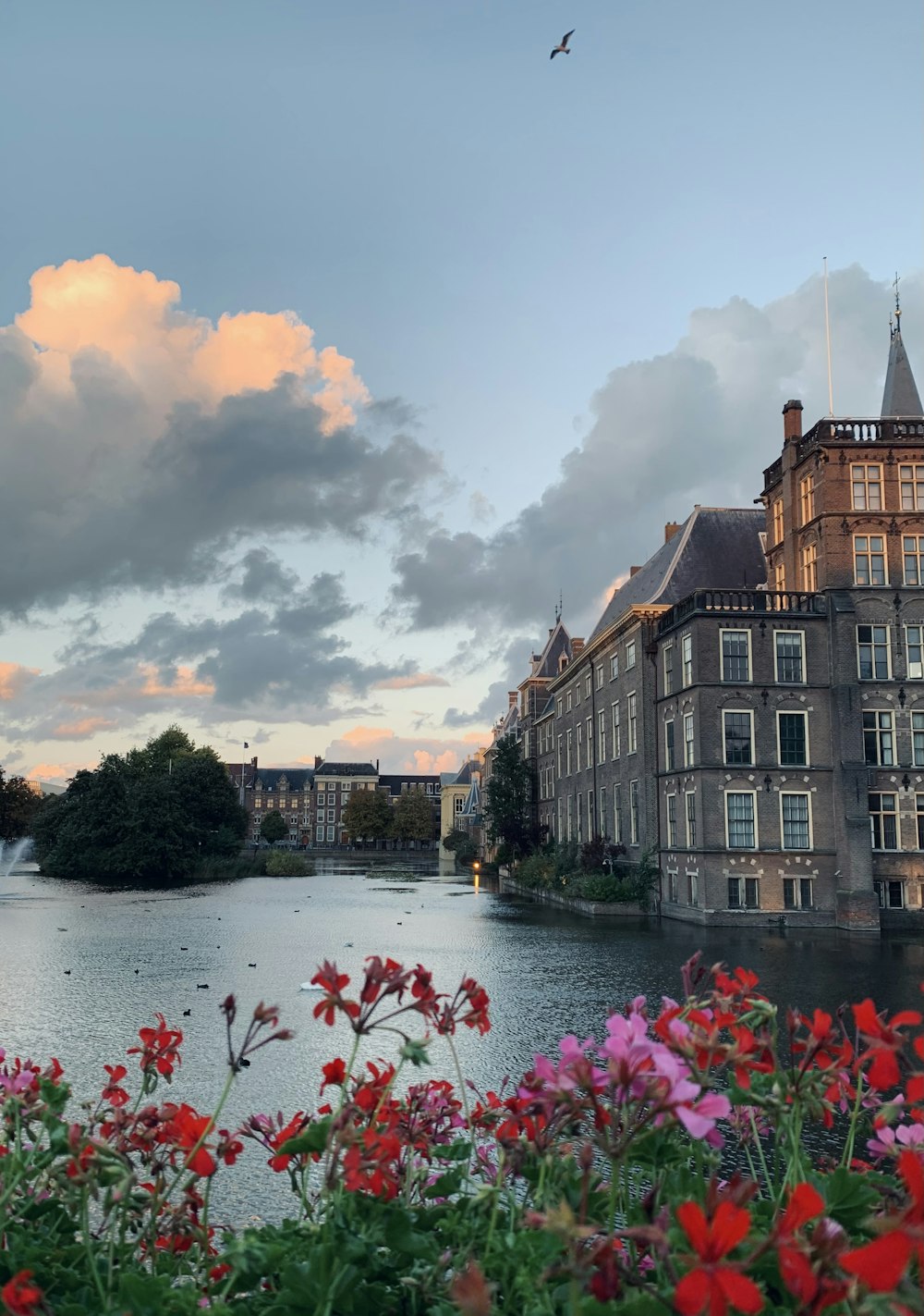 a body of water with buildings around it