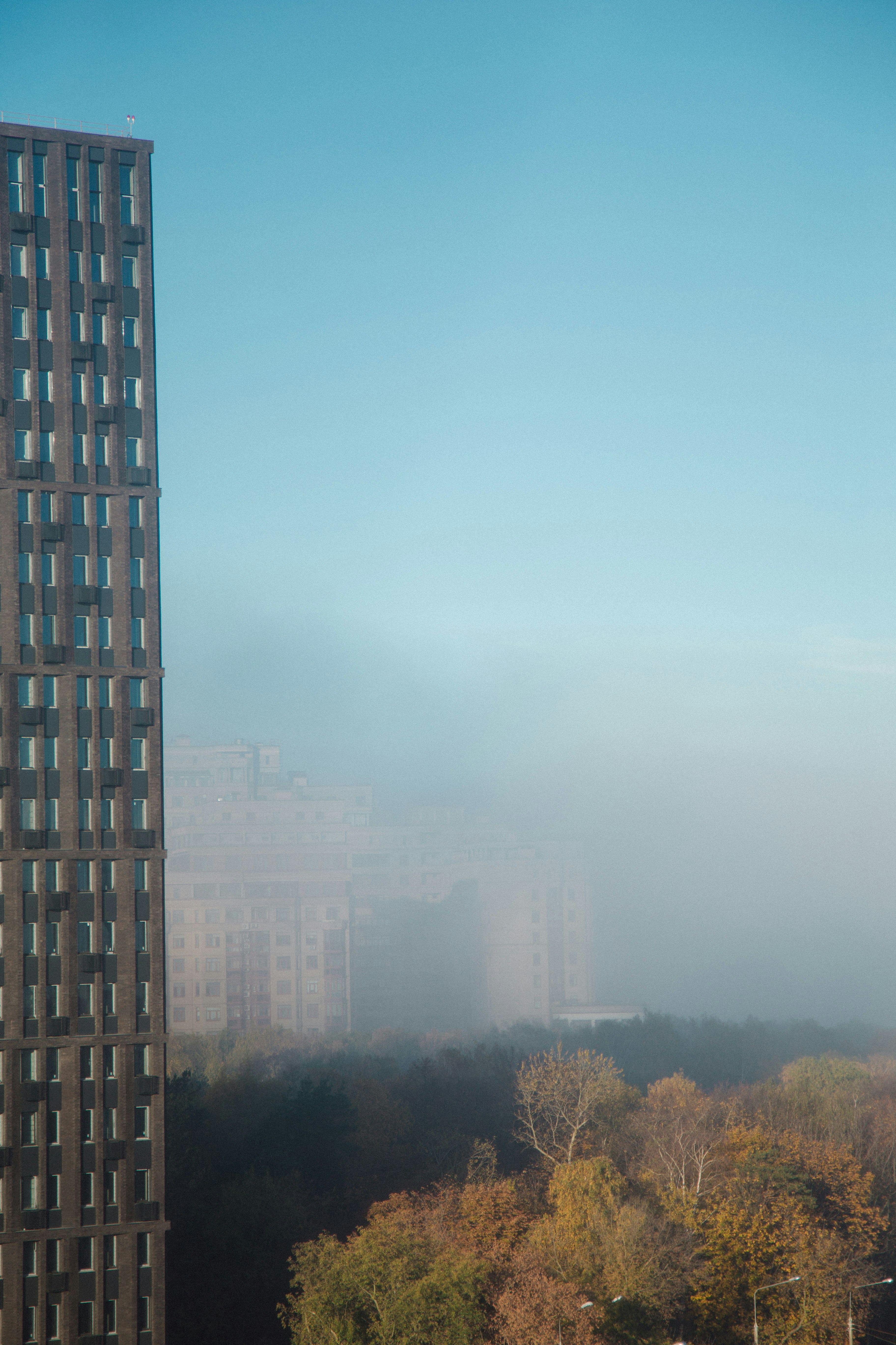 um edifício alto com árvores na frente