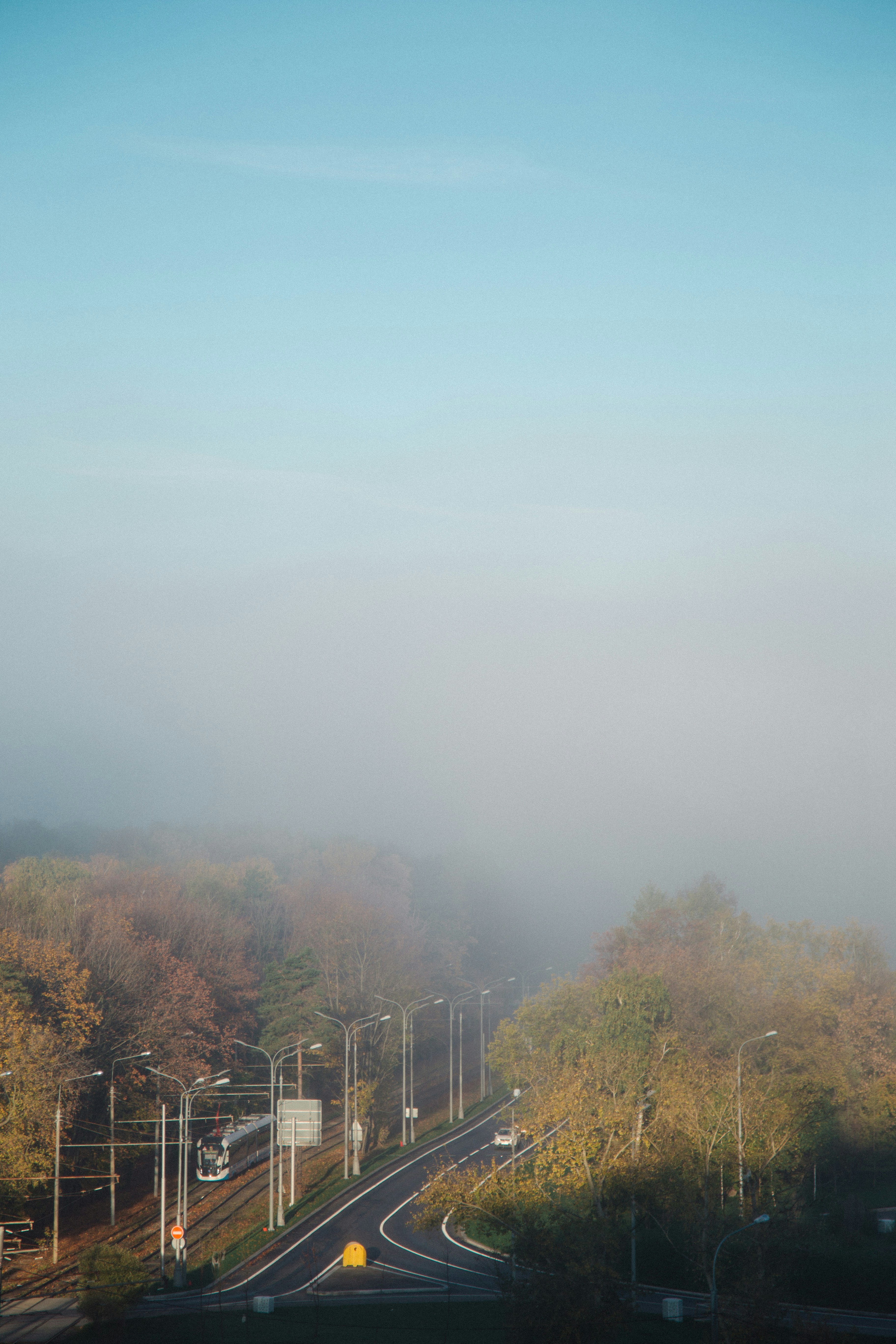 uma rodovia com árvores de ambos os lados