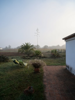 A peaceful garden scene featuring a misty morning with green grass and plants. Two folding chairs face a large palm tree, adding a relaxed and inviting atmosphere. The patio area is paved with reddish-brown tiles, and some potted plants are visible near a white building.