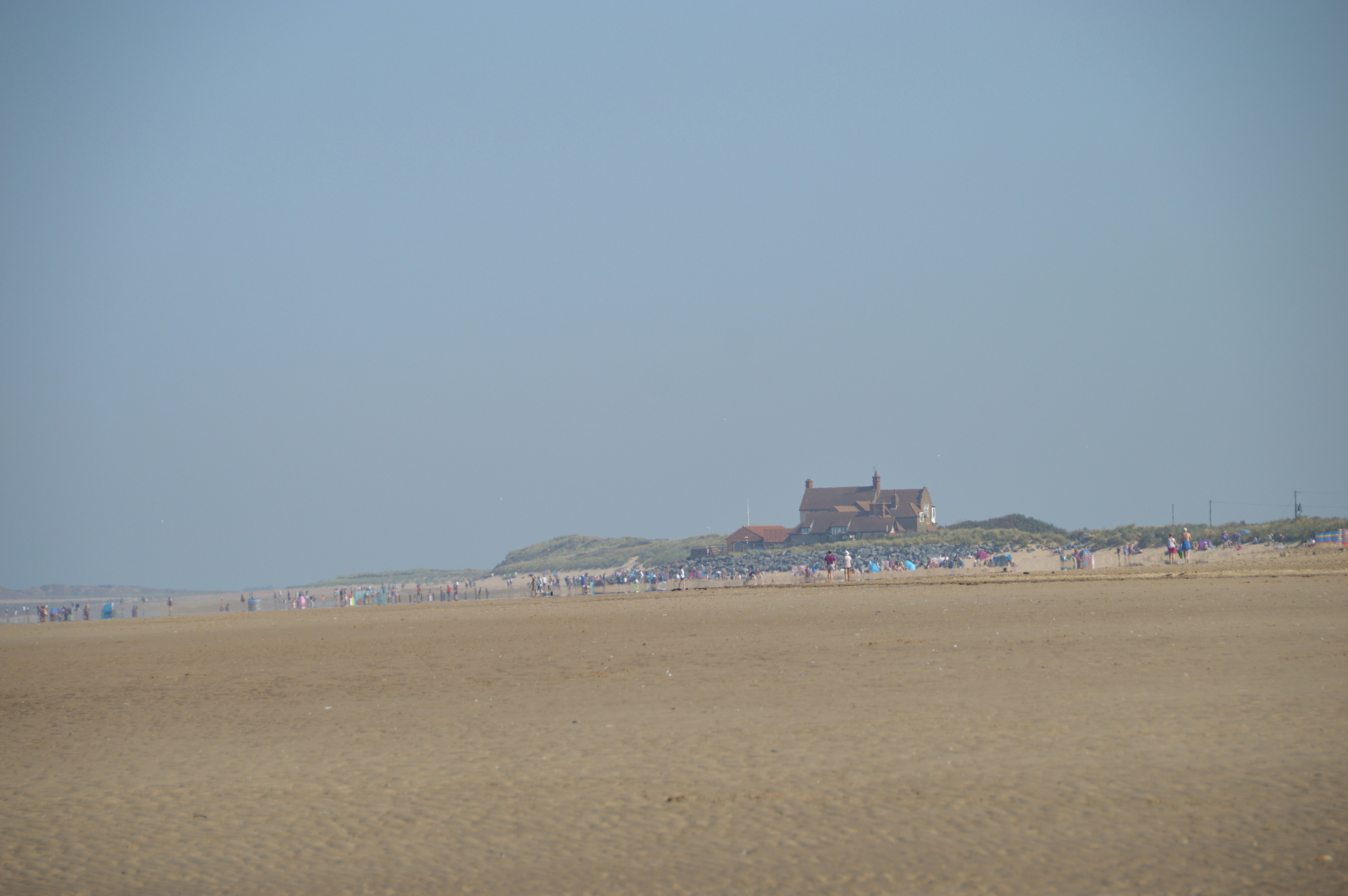 a large group of people on a beach