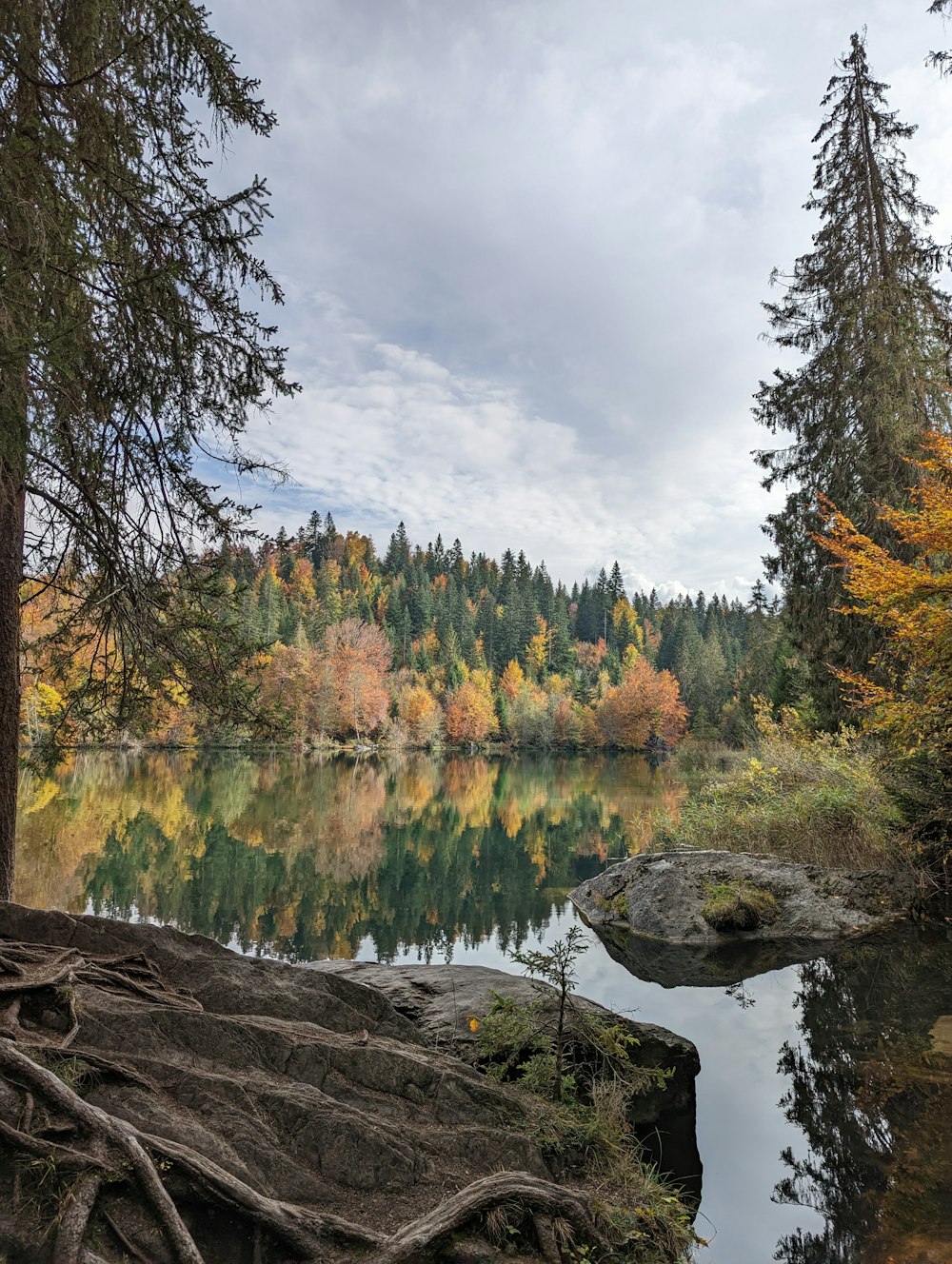 a lake surrounded by trees