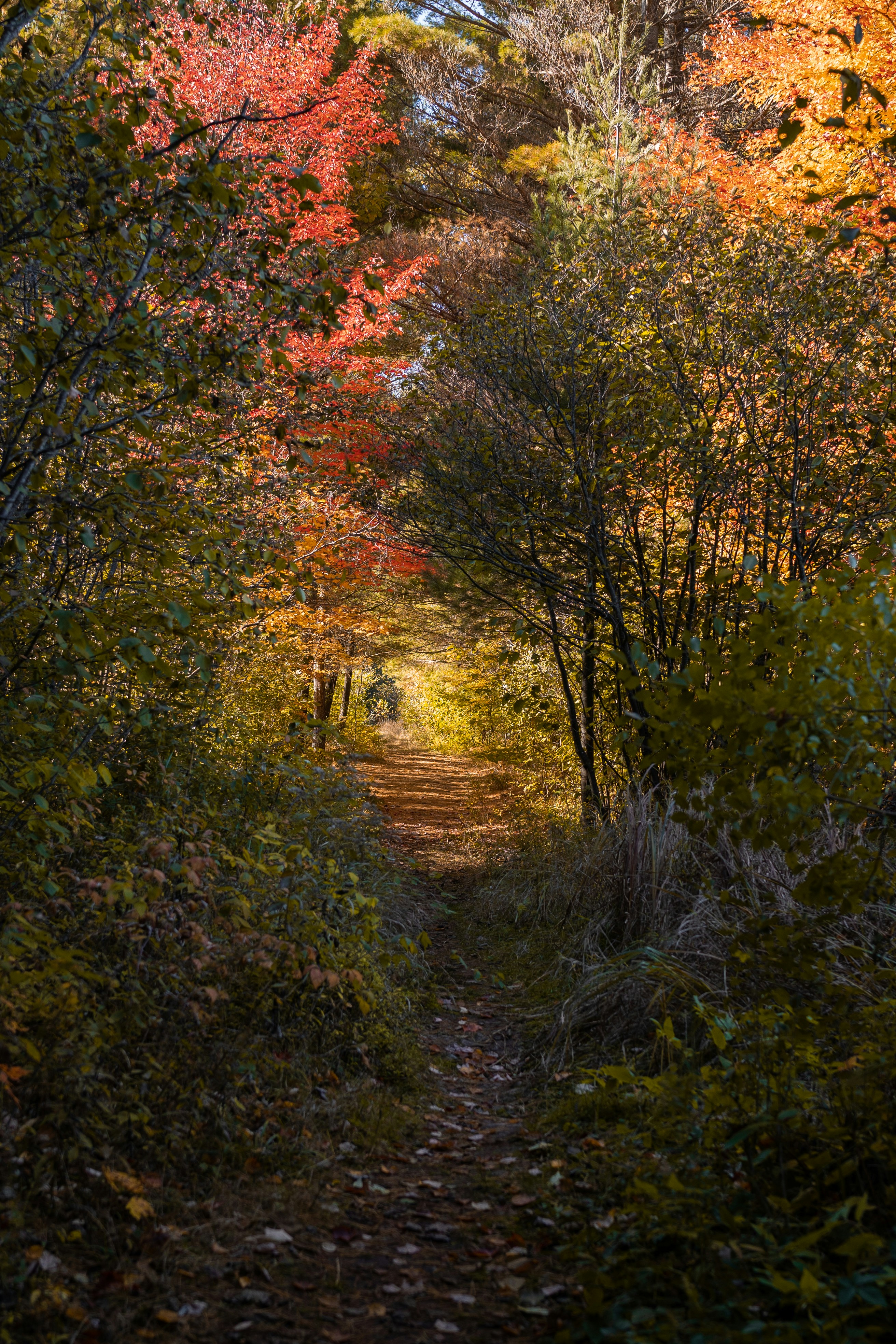 Photo by kylesphotography